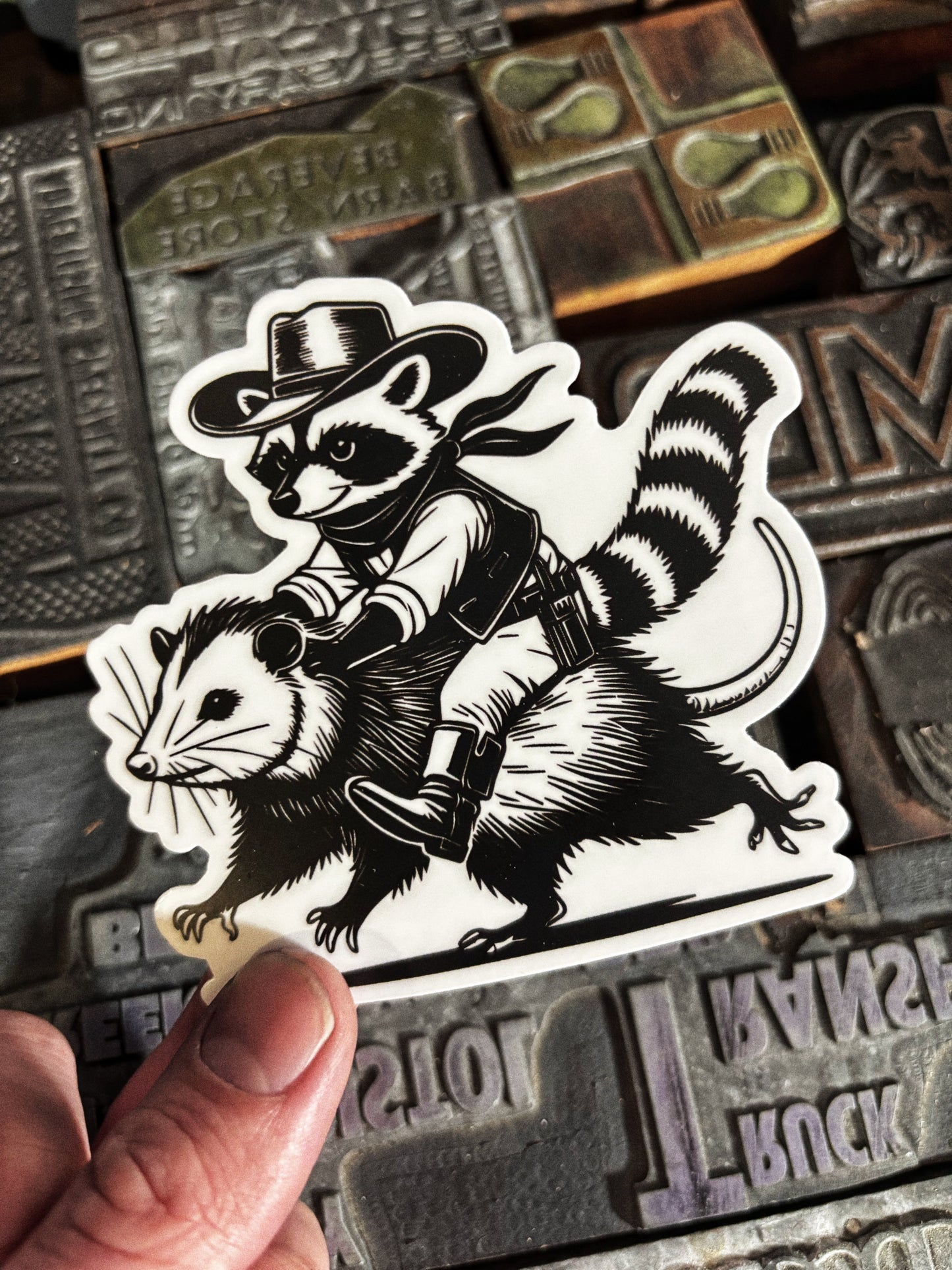Lost Raccoon Possum Ruckus Sticker